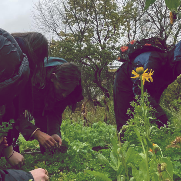 Arka Nasion – ZAKOŃCZONE