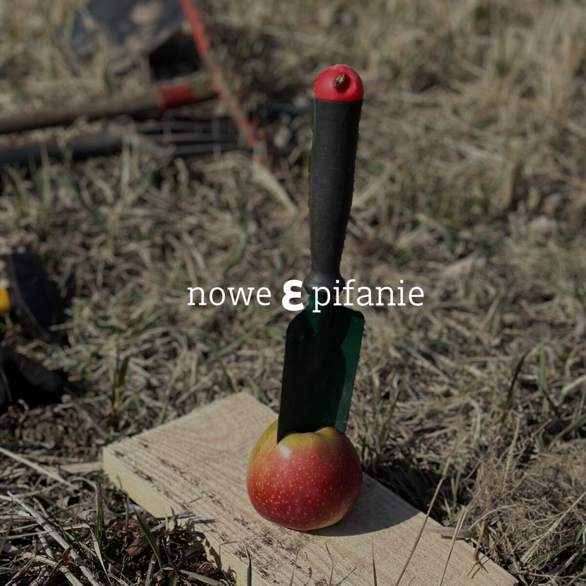 Warsztaty w Spółdzielczej Farmie MOST