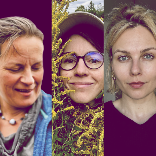 Jak pielęgnować zieleń w dużym mieście – podcast, część 2